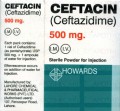 Ceftacin IM/IV Inj 500mg 1Vial