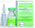 Cefxone IV Inj 0.25gm 1Vial