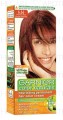 Garnier Color Natural Hair Color Fa 6.66 Bfr 1's