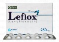 Leflox Tab 250mg 10's 166 Packs
