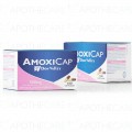 AMOXICAP Cap 500mg 100's