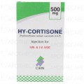 Hy-Cortisone Inj 500mg 1Vial