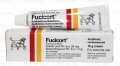 Fucicort Cream 15gm