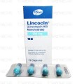 Lincocin Cap 500mg 12's