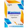 Maximus 1g injection 1Vial