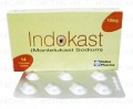 Indokast Tab 10mg 14's