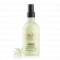 Moringa Milk Body Lotion 250Ml