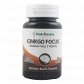 Ginkgo Focus Tab 30's