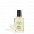 Moringa Edt 30Ml