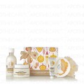 Giftg3 Small Milk&Honey Xm