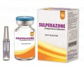 Sulperazone Inj 2gm 1's