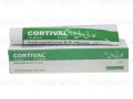 Cortival Cream 1% 10g